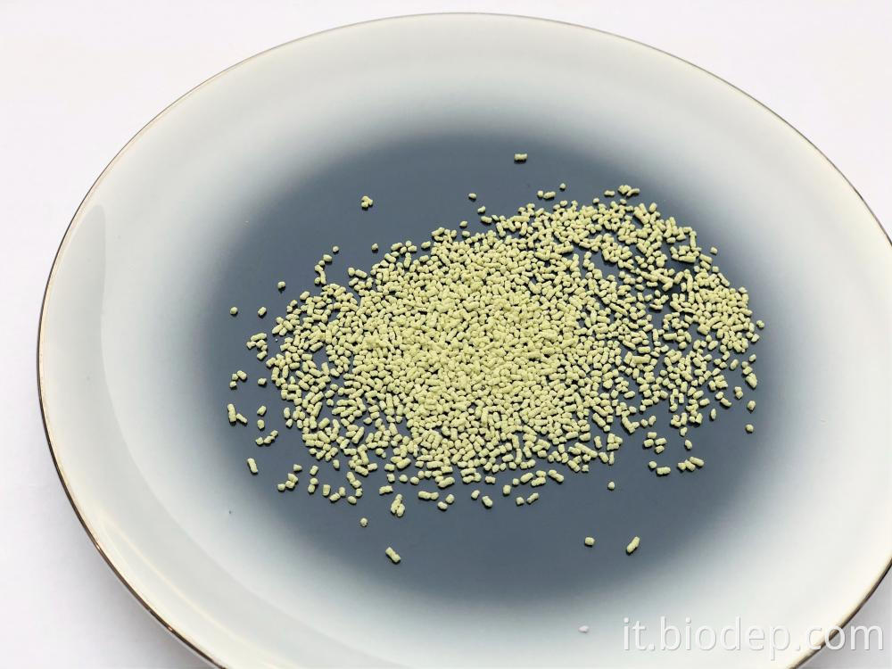 Bacillus coagulans Bacillus Coagulans